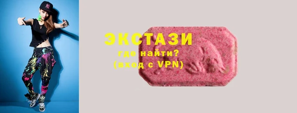 индика Медвежьегорск