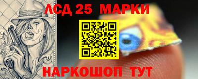 соль ск Новозыбков