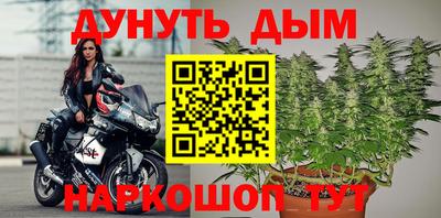 соль ск Новозыбков