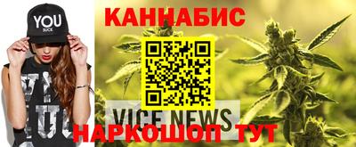 соль ск Новозыбков