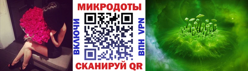дарк нет наркотические препараты Саранск Галлюциногенные грибы Psilocybine cubensis