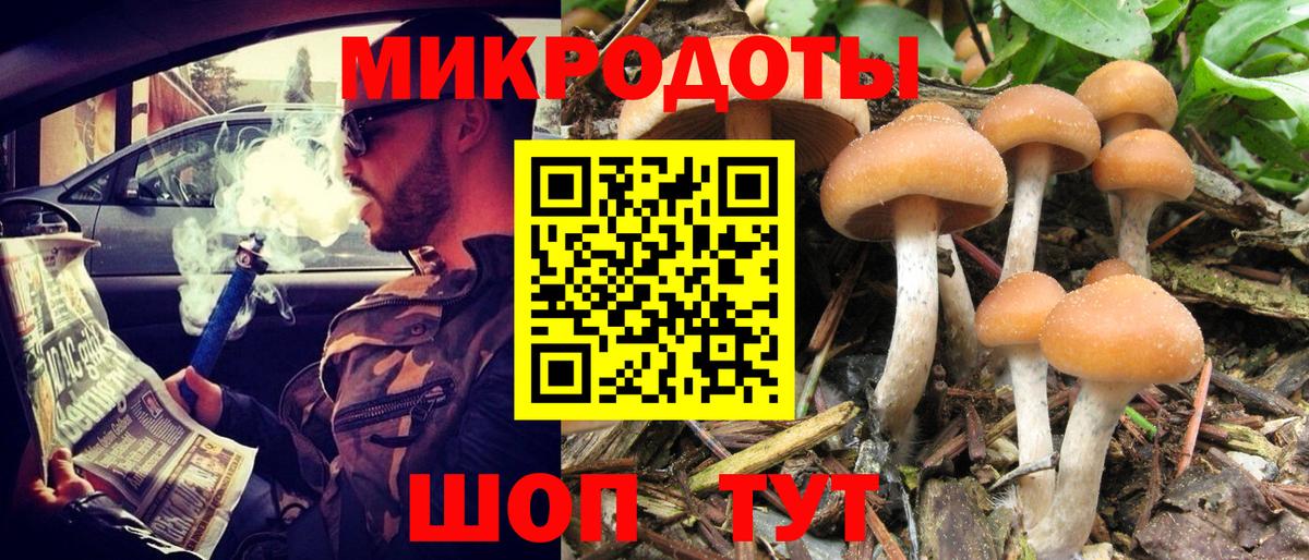 Галлюциногенные грибы Cubensis  Вход с VPN  Саранск 